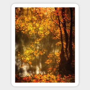 Natural landscape in autumn Sticker